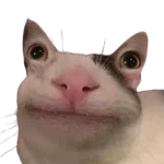 marijuan