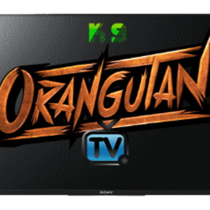 OrangutanTV24_7