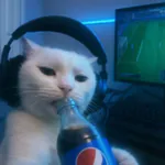 CASINOSTV