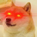 fuqboa
