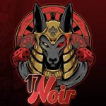 17noir